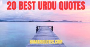 Read more about the article 20 BEST URDU QUOTES