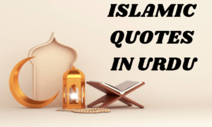 Read more about the article Inspirational Islamic Quotes in Urdu
